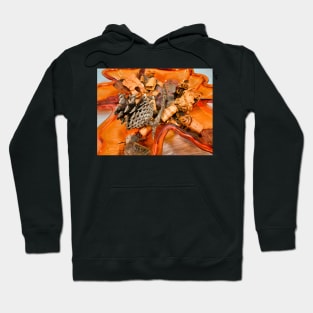 Fall Centerpiece Hoodie